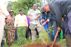 FB IMG 17603021397436104