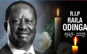 Nubian Rights Forum Executive Director Shaffie Hussein to Ida Odinga, ODM party - Sorry for the loss 1 images 6