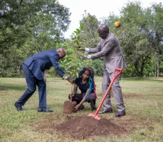Ruto Honours Truphena Muthoni With Ambassador Job After 72-Hour Tree-Hugging Feat 2 G8Mu5MtWQAMDIaj